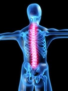 illuminated spine.jpg.opt274x365o0,0s274x365