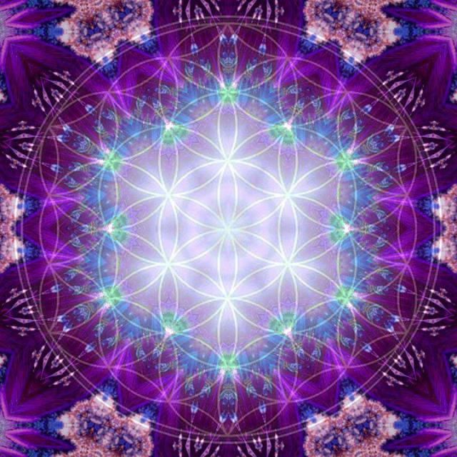 401961_372093792846094_2033147548_n