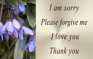 hooponoponocleaningtool-300x190