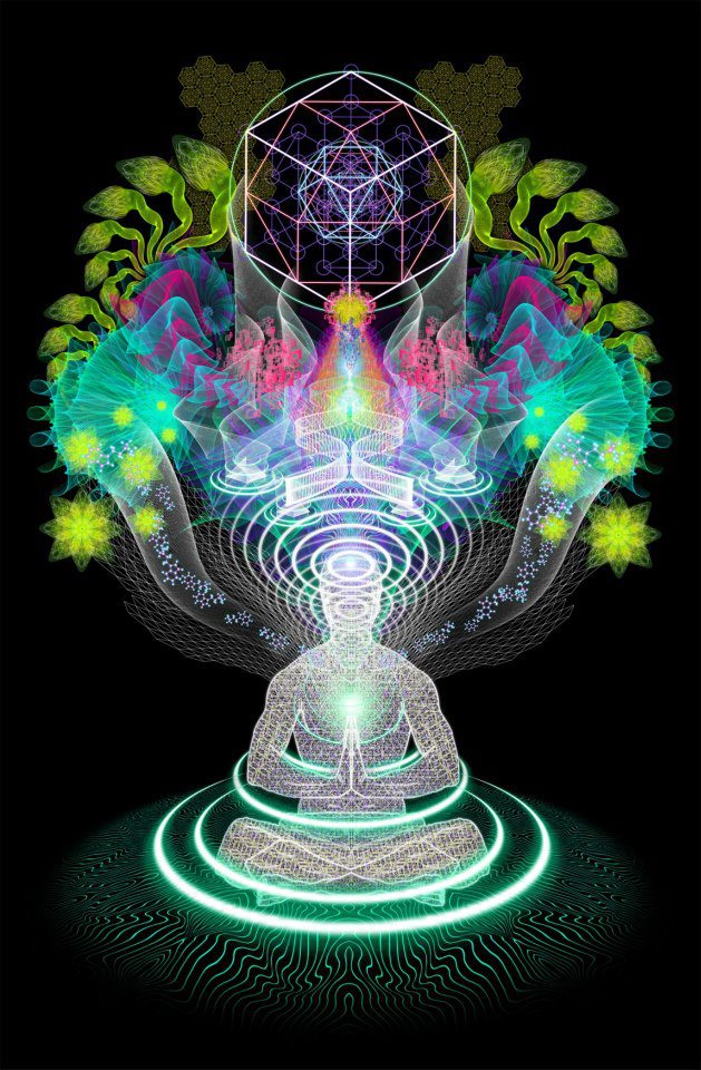 12562_456995491004064_528996067_n