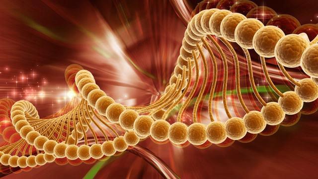 302485_341653512583748_228341289_n