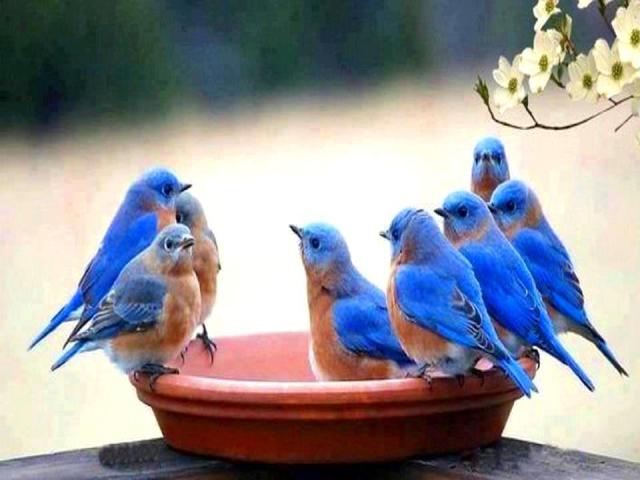 390369_526481164028647_1437262669_n