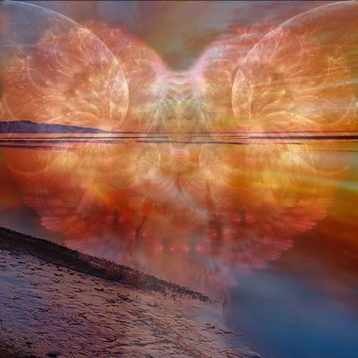 537478_176815989129850_769106704_n