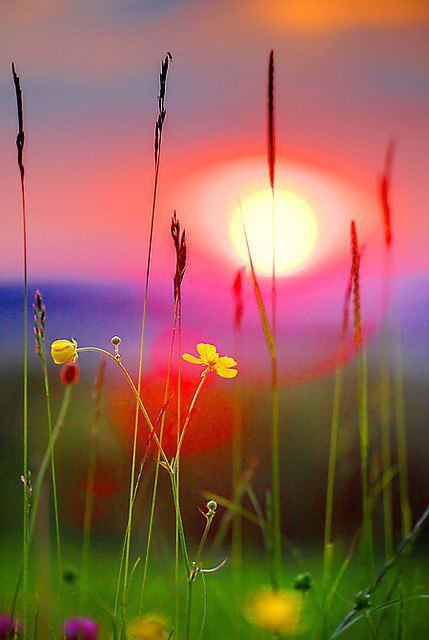 578849_10151580193183098_764069321_n