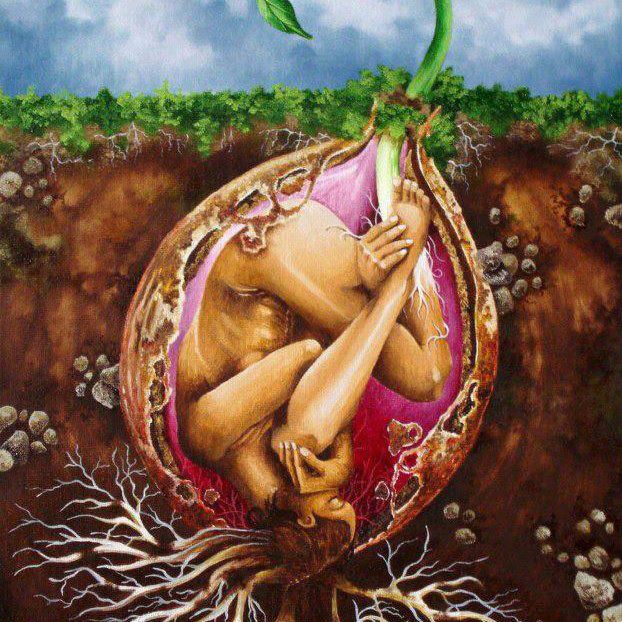 1201_443749359027605_496356917_n