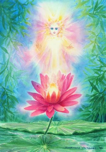 13605_368164419946462_1254945597_n