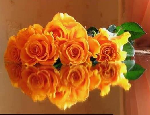 531858_530664156943681_2039348291_n