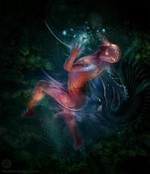 544594_4308747837767_24662728_n