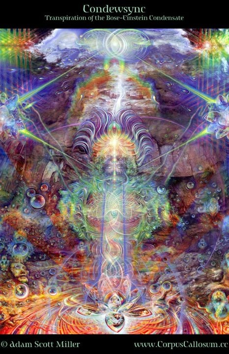 14787_10151241993762011_1873425376_n