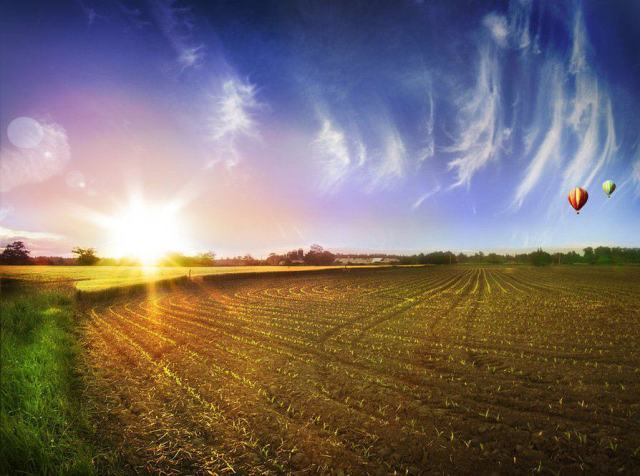 166944_284608484888190_220155468_n