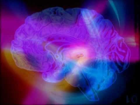 25039_488494451195076_806659801_n