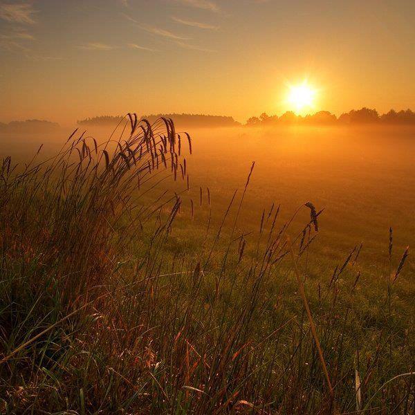 305352_285114488170923_1624703208_n