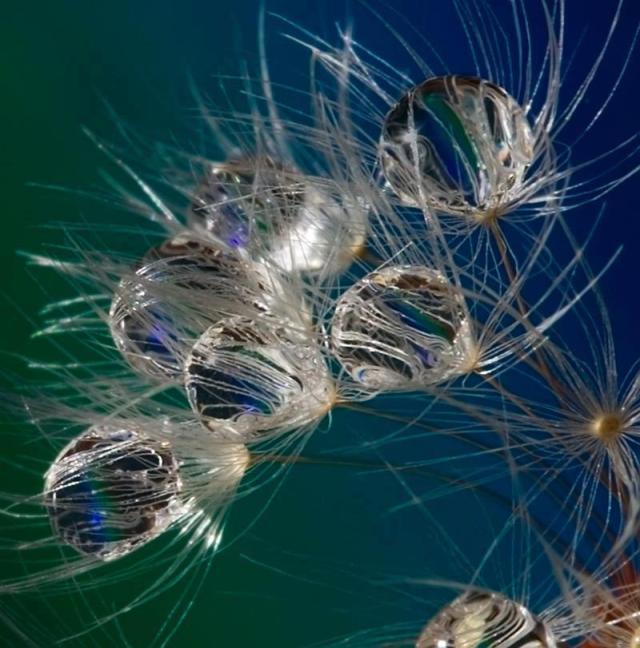 312541_516350191722511_162639197_n