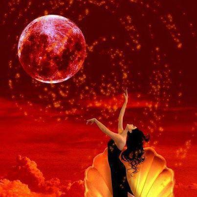 421435_466134300124838_2010396972_n