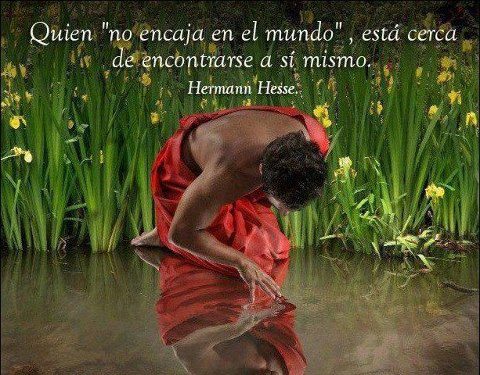 431586_285157551595451_1587319461_n