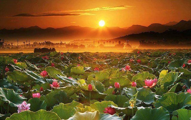 45545_524251740930375_2128391328_n