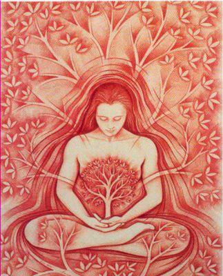 532514_429942247074983_846580652_n