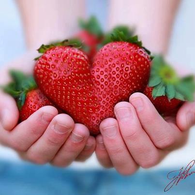 600605_10200648298758831_1604053640_n