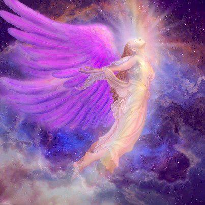 602167_10200713034858349_858919078_n