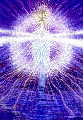 LLAMA_20VIOLETA1_small