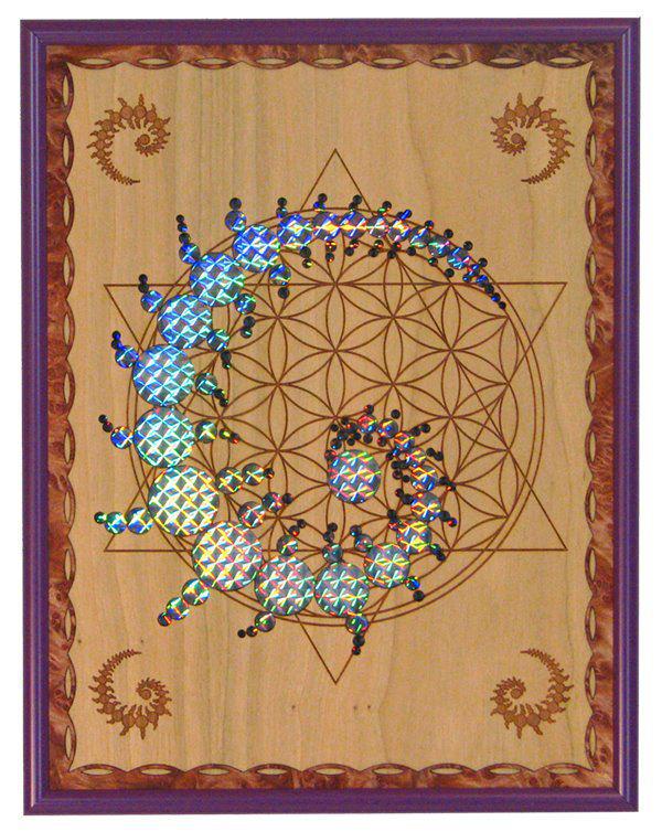 12818_367160540033045_284286179_n