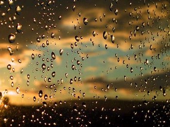 197270_458076118_lluvia_dorada_H004246_L