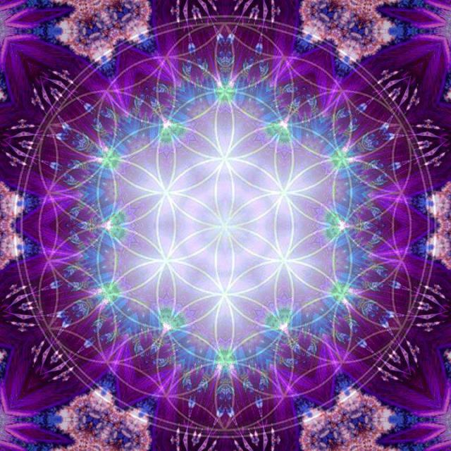 303704_180101092134673_267511425_n