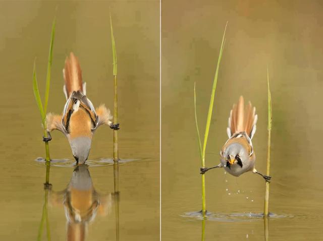 306093_543573562353856_1653649617_n