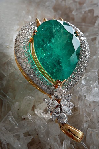 3898_355761304522989_593339243_n