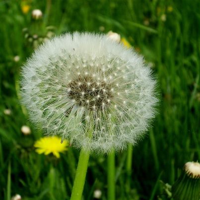 418235_459354824086709_757079056_n (2)