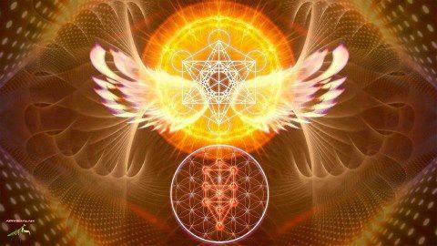 428280_213058048819404_898847466_n