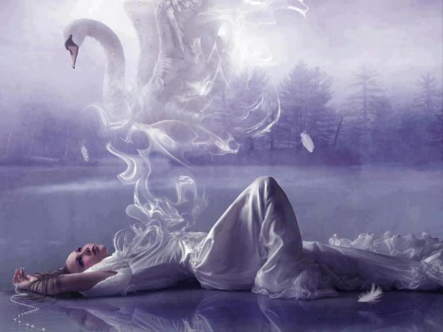 480115_101886766659061_1540461749_n