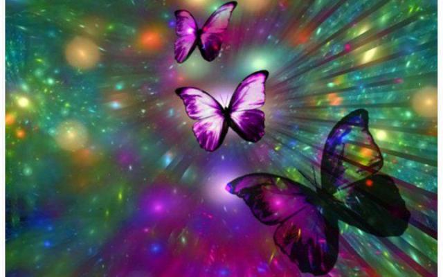 480759_513527412016962_278561607_n