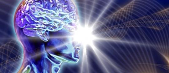 533252_294406790688782_863706401_n