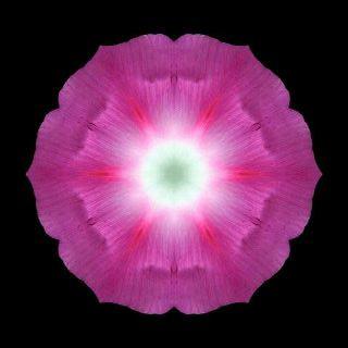 547043_365008246931628_1437222980_n