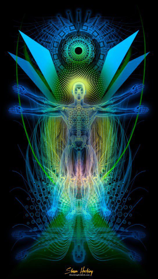 555092_492109544159325_1055548354_n