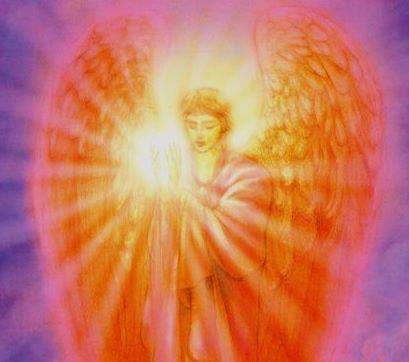 558228_445236758854006_1759368514_n