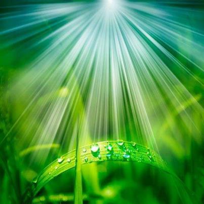 580327_477116065643918_2103397170_n (2)