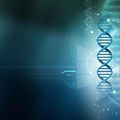 580402_488771254505995_949007356_n