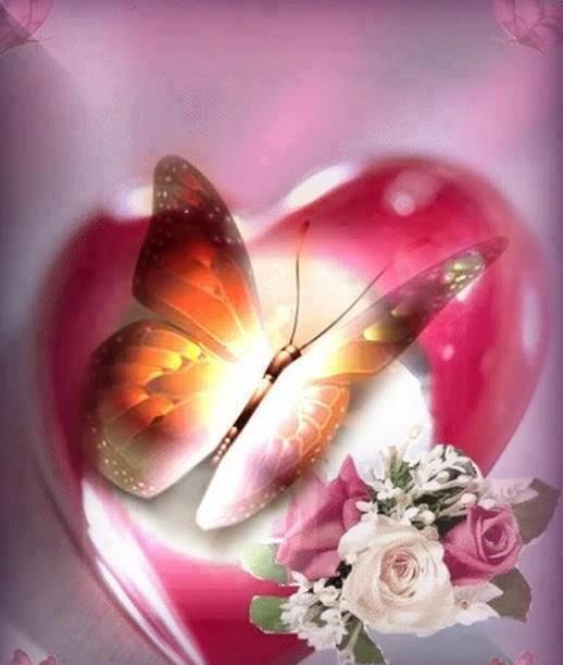 581845_509196822460606_929171489_n