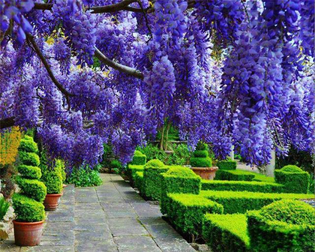 58821_492843064085448_858954804_n