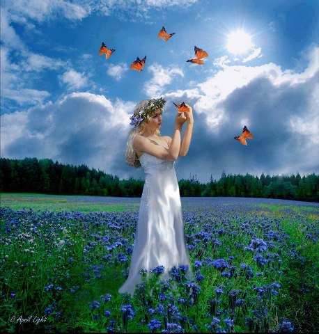 598395_544316358936530_992272333_n