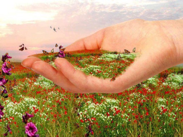 601399_418507534906050_788793977_n