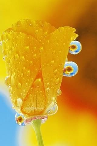 65211_225264277616164_1150906745_n