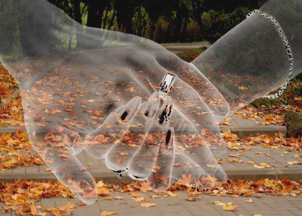 69642_544267888941377_119170701_n