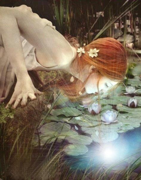 69684_542436372442028_512299724_n