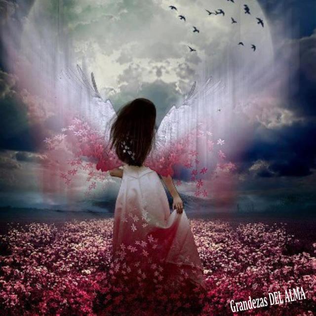 701_467945873272918_537963182_n