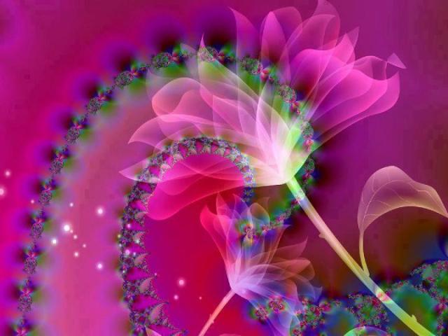 735117_541024779255778_1382843725_n