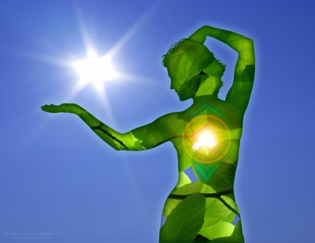 JW_LowRez_11x8_5_72dpi