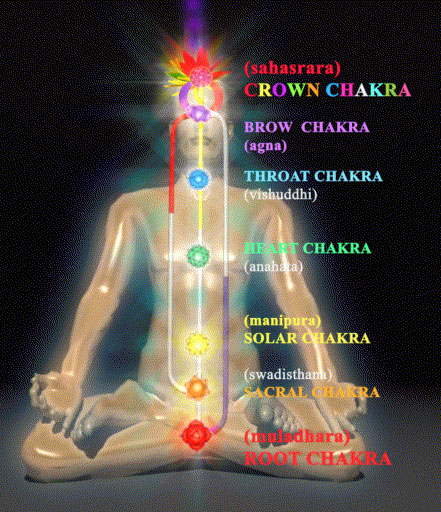 The-Coiled-Kundalini